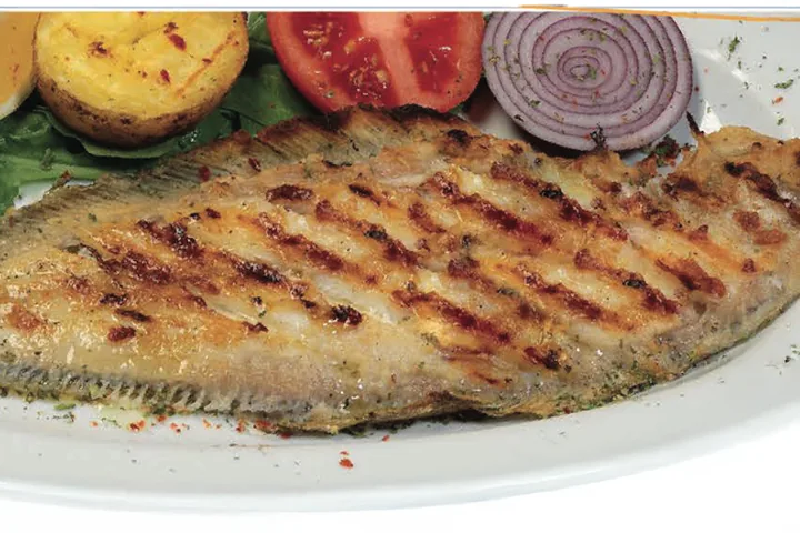 Dil Balığı